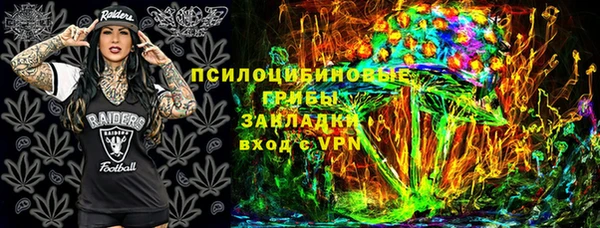 a pvp Гусь-Хрустальный