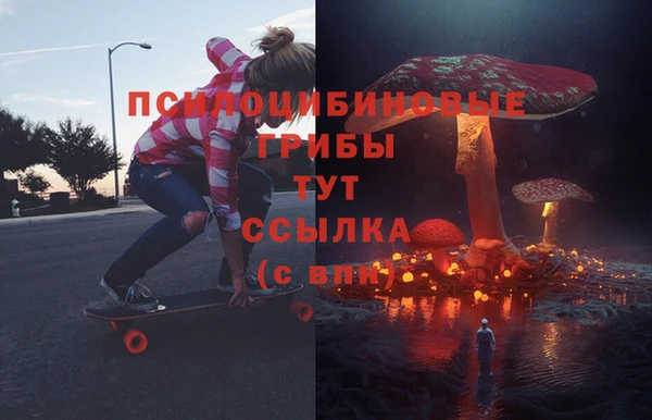 MDMA Premium VHQ Гусиноозёрск