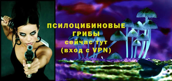 MDMA Premium VHQ Гусиноозёрск