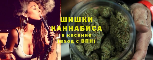 a pvp Гусь-Хрустальный