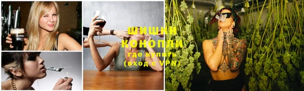 a pvp Гусь-Хрустальный