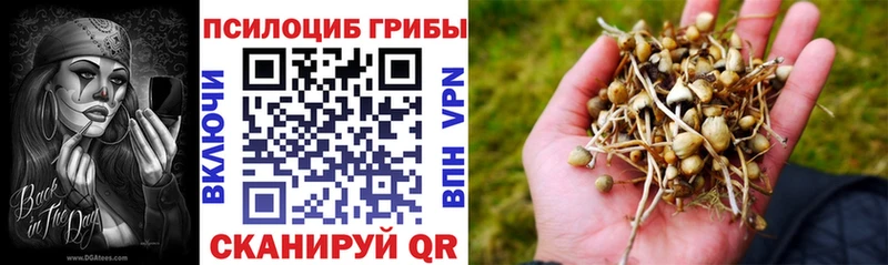 купить   Подольск  Псилоцибиновые грибы ЛСД 
